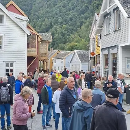 Ferienhaus I Lærdal Mjeldo