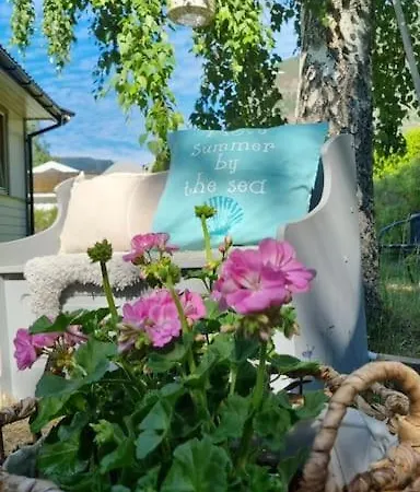 I Lærdal Mjeldo